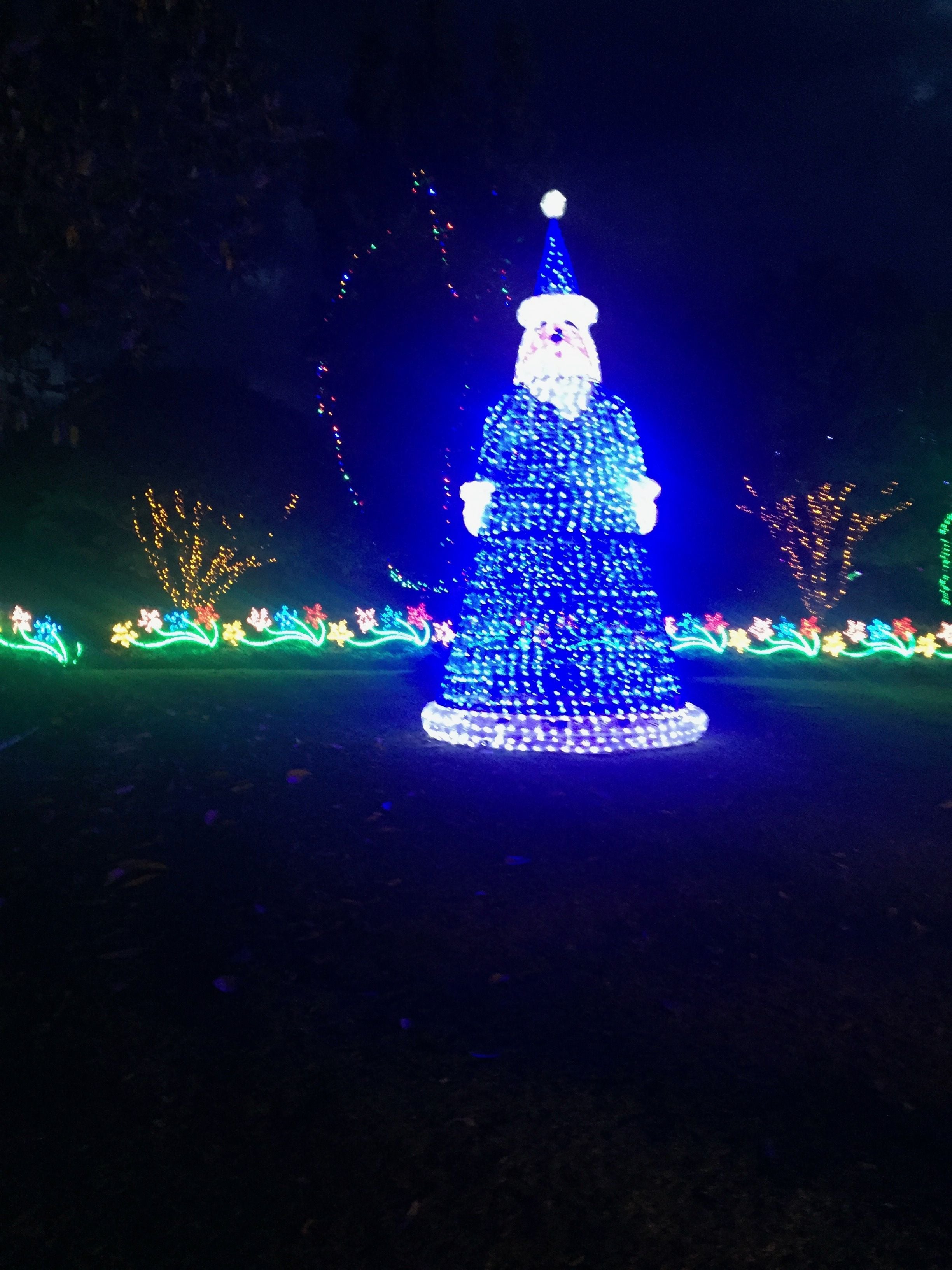 Hunter Valley Christmas Lights Spectacular Image -5b3abbc34c4c9